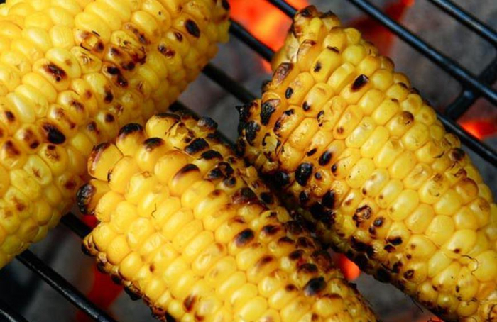   Why are corns not digested by humans?  