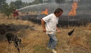 Desolación en Ourense con 8.000 hectáreas quemadas desde el sábado