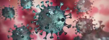 Brasil suma 987 muertes por coronavirus 