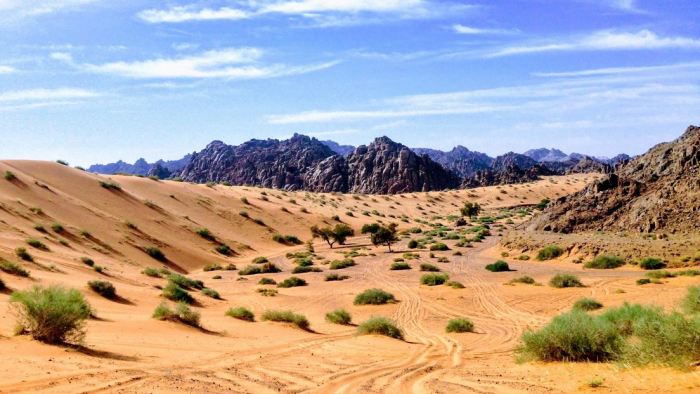 Huellas de hace 120.000 años halladas en Arabia Saudita dan una pista