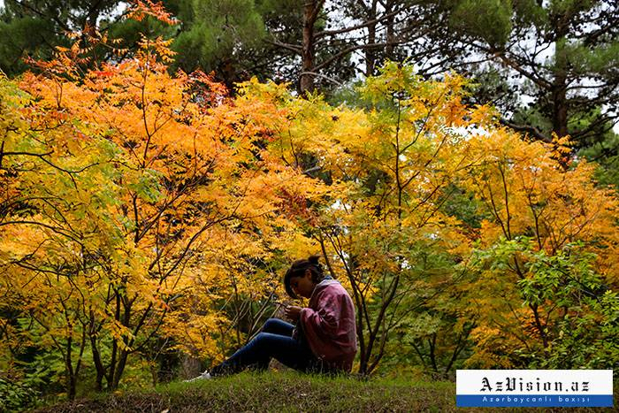   Der Herbst kommt nächste Woche nach Aserbaidschan  