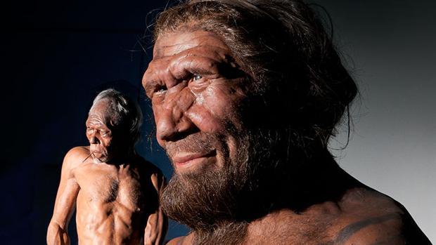 El cromosoma Y muestra que neandertales y sapiens ya se aparearon hace 300.000 años