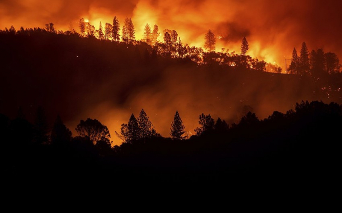 Kaliforniyada meşə yanğınları:  11 nəfər ölüb   
