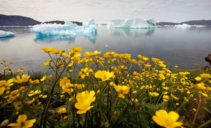 Chaleur: au Groenland, le principal glacier de l