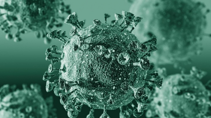 1.176 neue positive Coronavirus-Tests in Deutschland