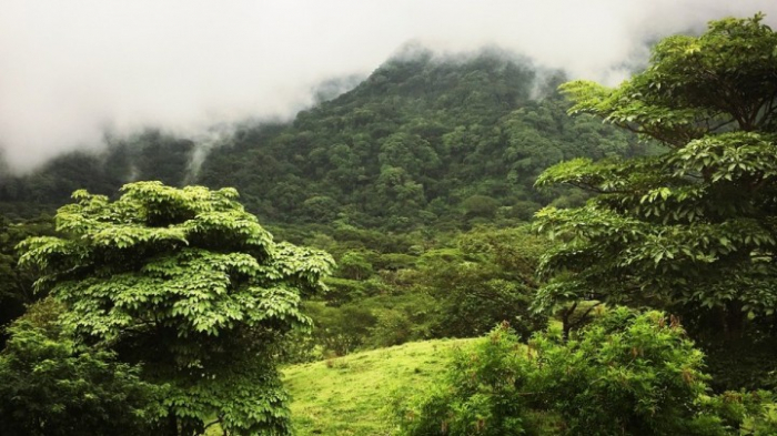 Costa Rica startet Wiederaufforstung nach Jahrzehnten der Abholzung