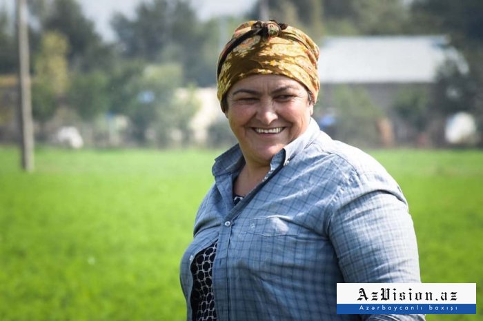 Las mujeres azerbaiyanas no sienten miedo ante las balas enemigas - Fotoreportaje