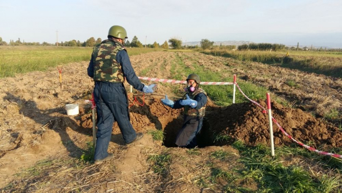   About 200 unexploded ordnance and ammunition found - ANAMA  