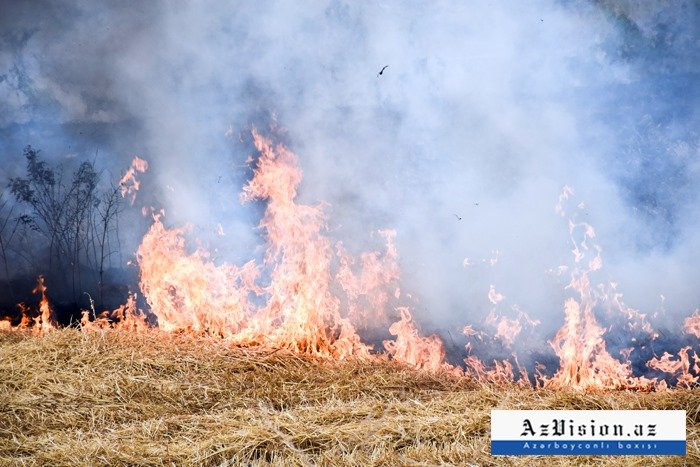   El enemigo vuelve a disparar contra Goygol, se ocurre el incendio  