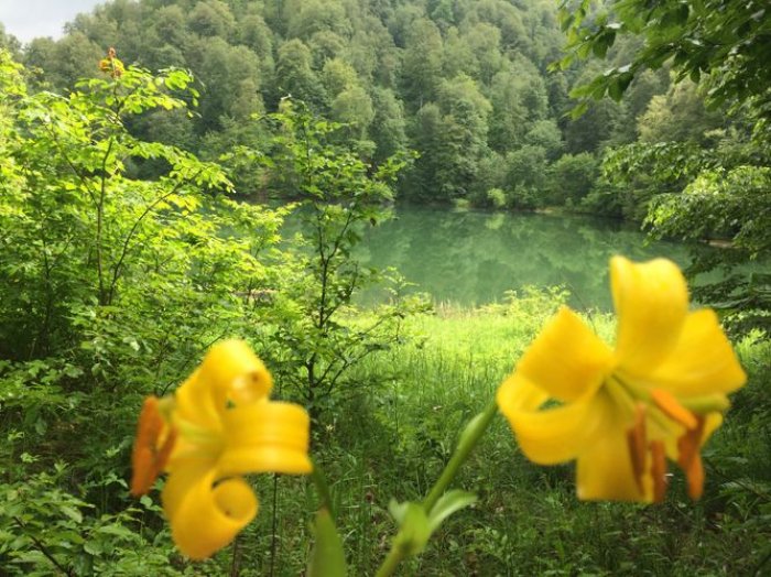 Armenia comete terror ambiental contra la naturaleza azerbaiyana