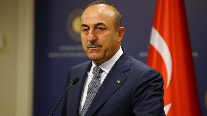 Mevlut Cavusoglu thanks Azerbaijan for offering assitance following earthquake in Izmir