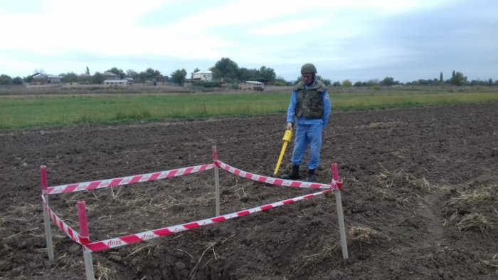   ANAMA continues search operations in frontline areas   