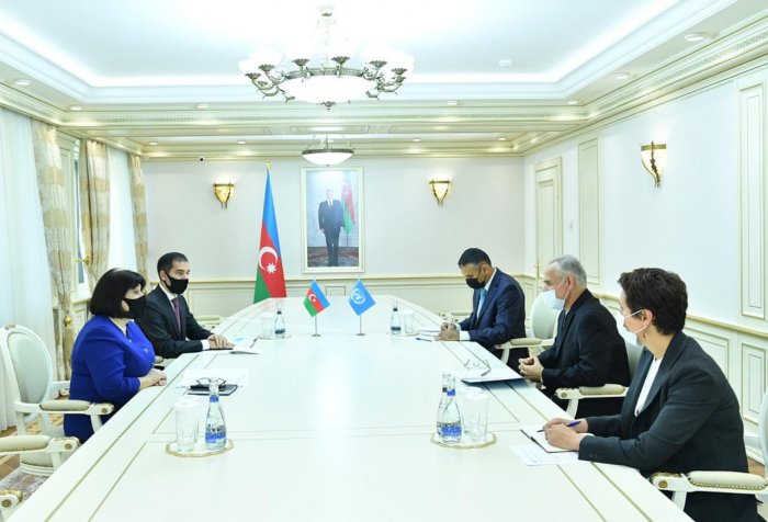   Speaker of Azerbaijani parliament, UN resident coordinator discuss Karabakh conflict  