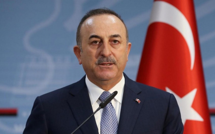     Cavusoglu:   "Estamos orgullosos de sus victorias en el campo de batalla"  