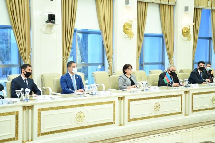  Some French officials support Armenian occupation policy, says Sahiba Gafarova  