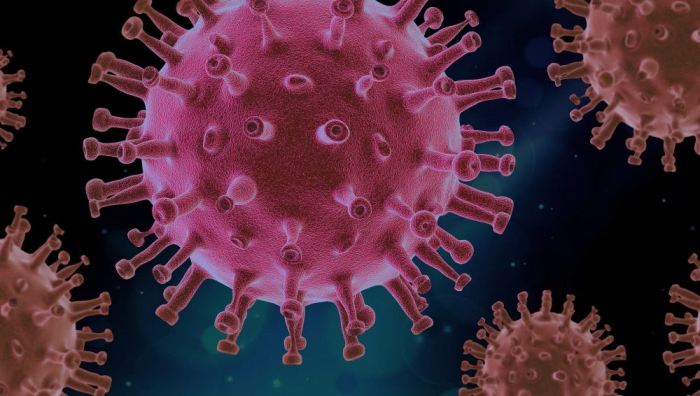 Descubren un nuevo gen oculto en el coronavirus
