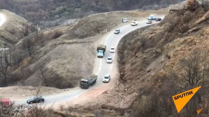  Armenier fällen in Kalbadschar Bäume in Wäldern -  VIDEO  
