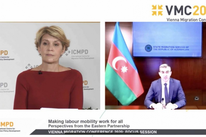   Head of Azerbaijan State Migration Service attends virtual Vienna conference  