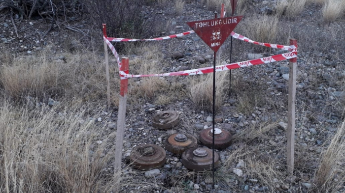 ANAMA limpia el área a lo largo del frente de minas y municiones sin explotar