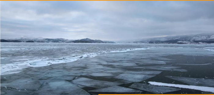   مئات الفقمات تتزحلق على سطح بحيرة البايكال.. فيديو  
