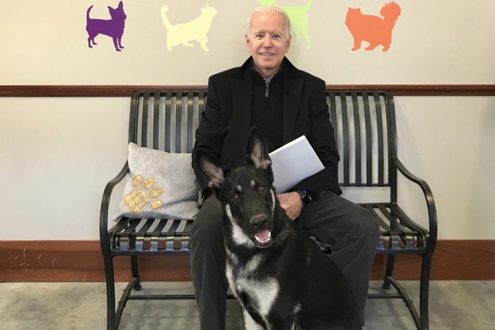Etats-Unis : En jouant avec son chien, Joe Biden s
