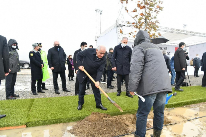 Baş Nazir ağacəkmə aksiyasında iştirak edib