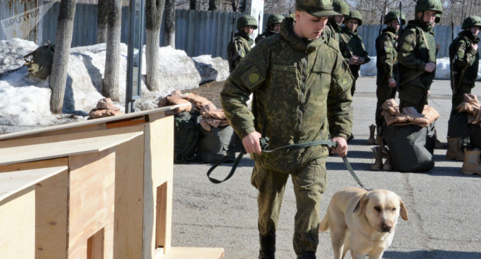   Russian mine detectors to carry out mine detection and clearance in Karabakh  
 