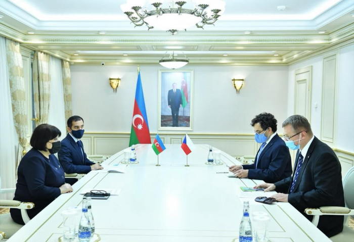  السفير  :"أذربيجان شريك استراتيجي مهم لجمهورية التشيك" 