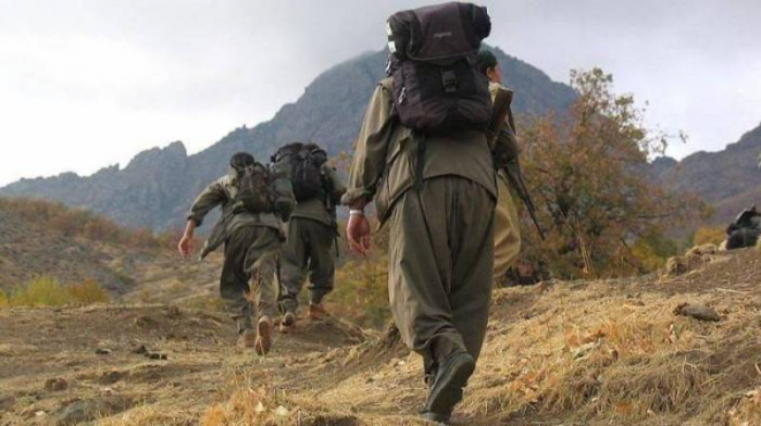 Türkiyə xüsusi təyinatlıları PKK terrorçularını məhv etdi