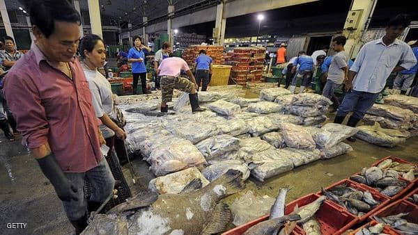بعد عام من "كارثة ووهان".. كورونا يتفشى داخل سوق للأسماك