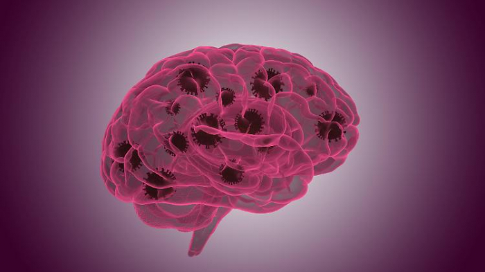 Wie Sars-CoV-2 den Weg ins Gehirn findet