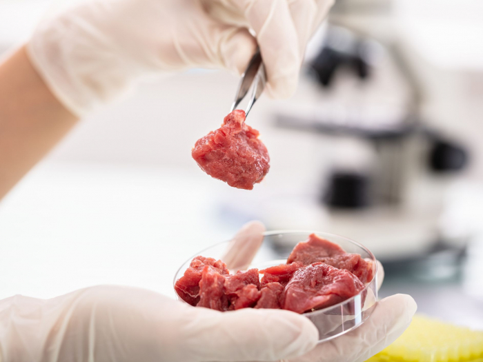 No-kill, lab-grown meat to go on sale for first time