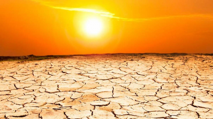 2020 one of three hottest years ever, UN says