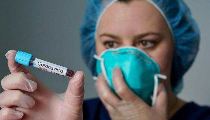 Global coronavirus cases exceed 65 million