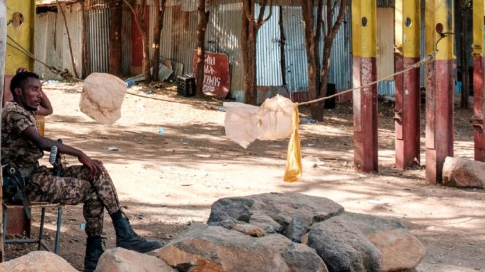 Ethiopian troops shoot UN team 