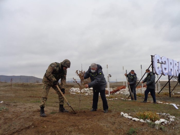   Tree-planting action held in liberated Jabrayil city  