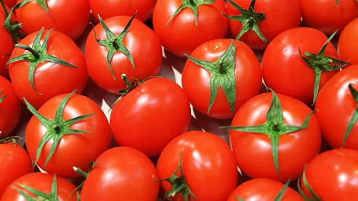   روسيا تسمح باستيراد الطماطم من شركة "اغروتيرم" الاذربيجانية  