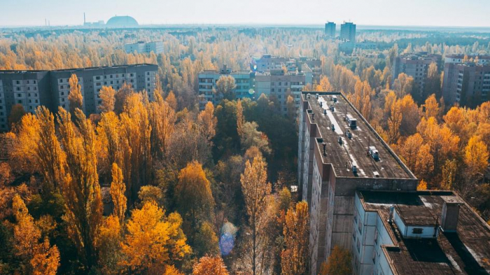 Why the nuclear disaster was an accidental environmental success in Chernobyl -  iWONDER   