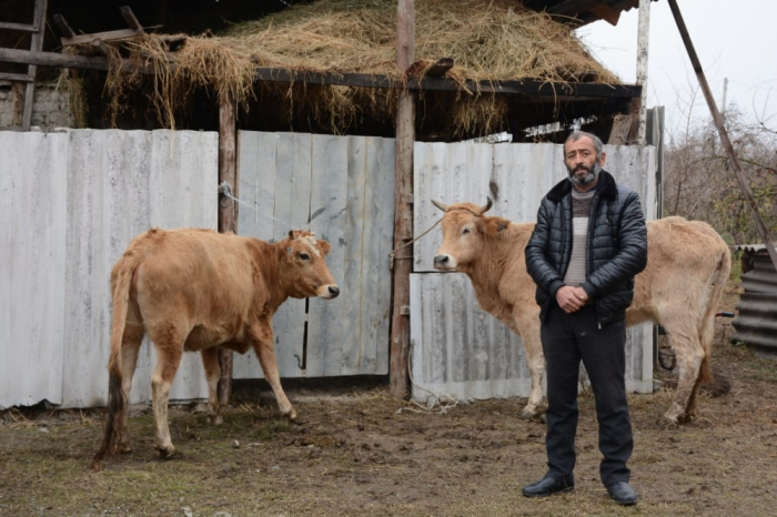 Müharibə iştirakçıları üçün təsərrüfatlar yaradılıb