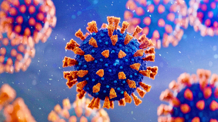 Virus strain to cause more deaths in Britain - study 