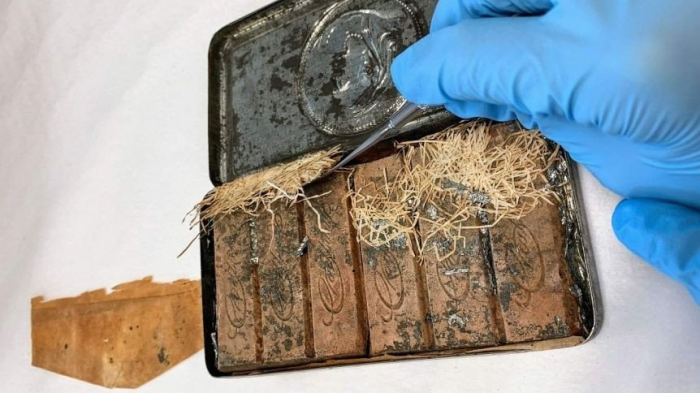 120-year-old chocolates commissioned by Queen Victoria found in Australia