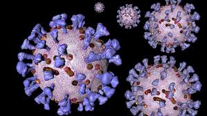   Neue Coronavirus-Variante nun auch in Niedersachsen  