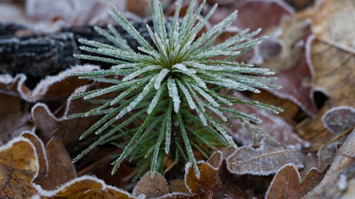 Winter hält eisige Überraschungen parat