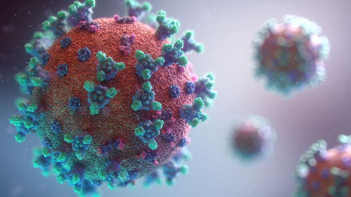  Will the new Coronavirus mutation affect the vaccine? -  iWONDER  