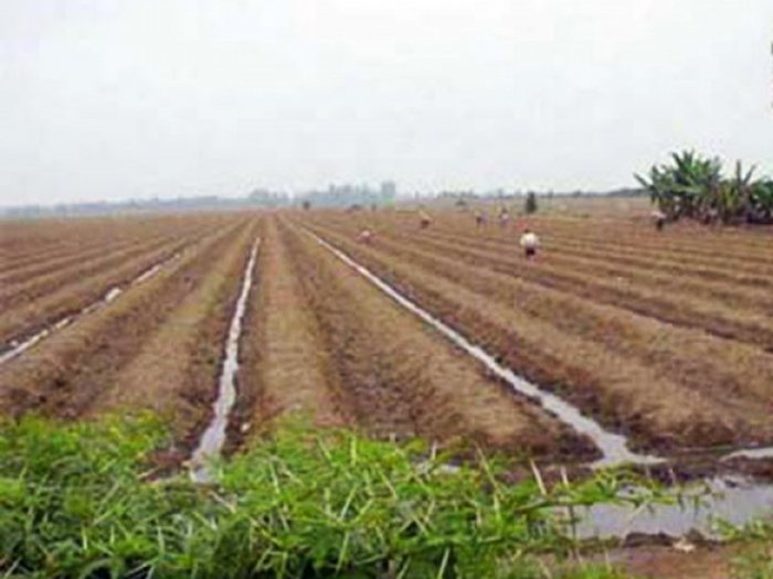 Azerbaijan explores spheres needed to be developed in Karabakh