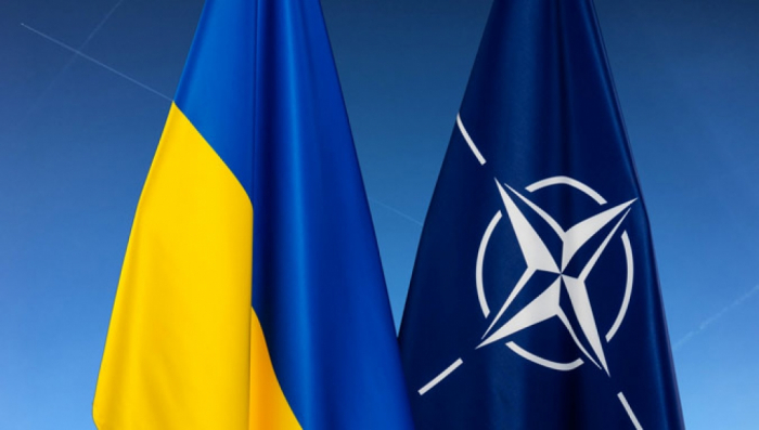 Ukrayna ordusu NATO standartına keçir