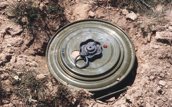  ANAMA employee wounded in landmine blast 