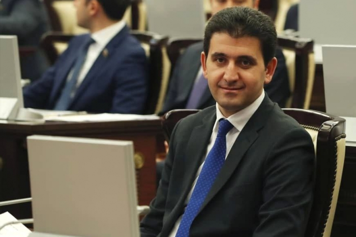 “Gəncə Hava Limanına Nizaminin adı verilsin” -    Naqif Həmzəyev   