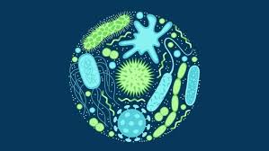  Silent pandemic of antibiotic resistance -  OPINION  