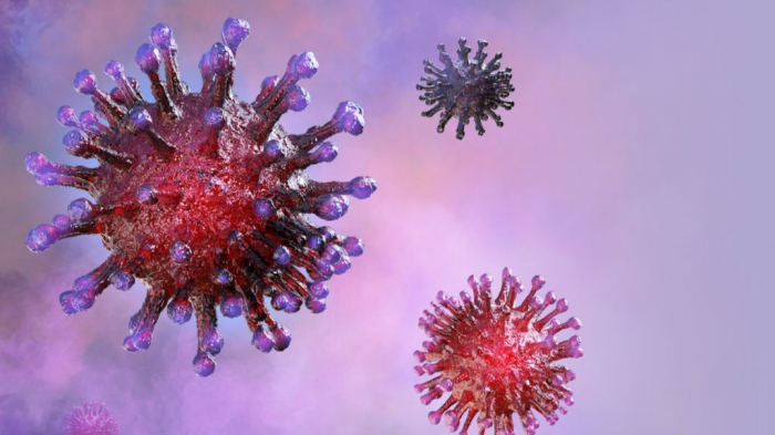 Coronavirus variants pose reinfection risk - Scientists  